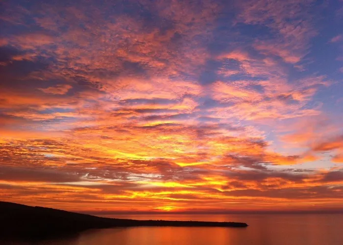 ثيودورا سويتس