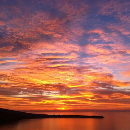 Theodora (adults Only)